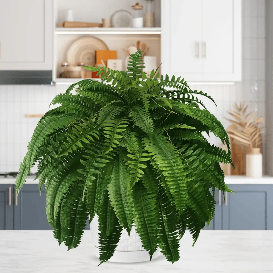 Last Day 75% OFF | UV Resistant Lifelike Artificial Boston Fern - Image 10