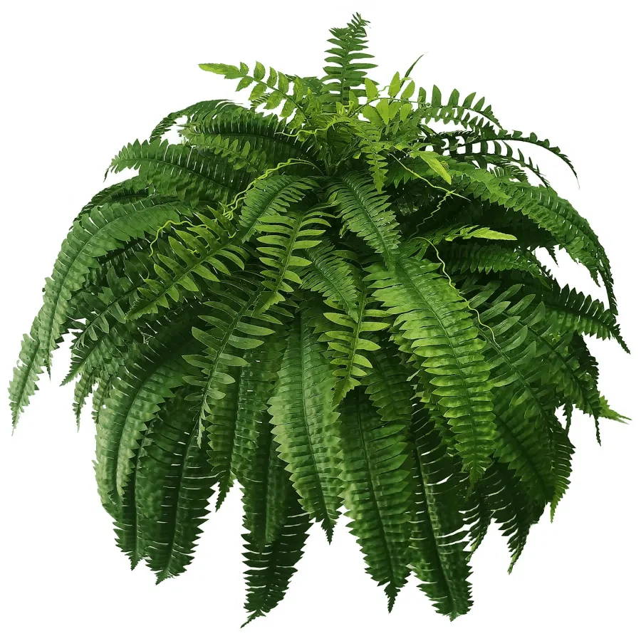 Last Day 75% OFF | UV Resistant Lifelike Artificial Boston Fern - Image 12