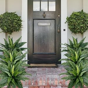 Last Day 75% OFF | UV Resistant Lifelike Artificial Boston Fern - Image 4