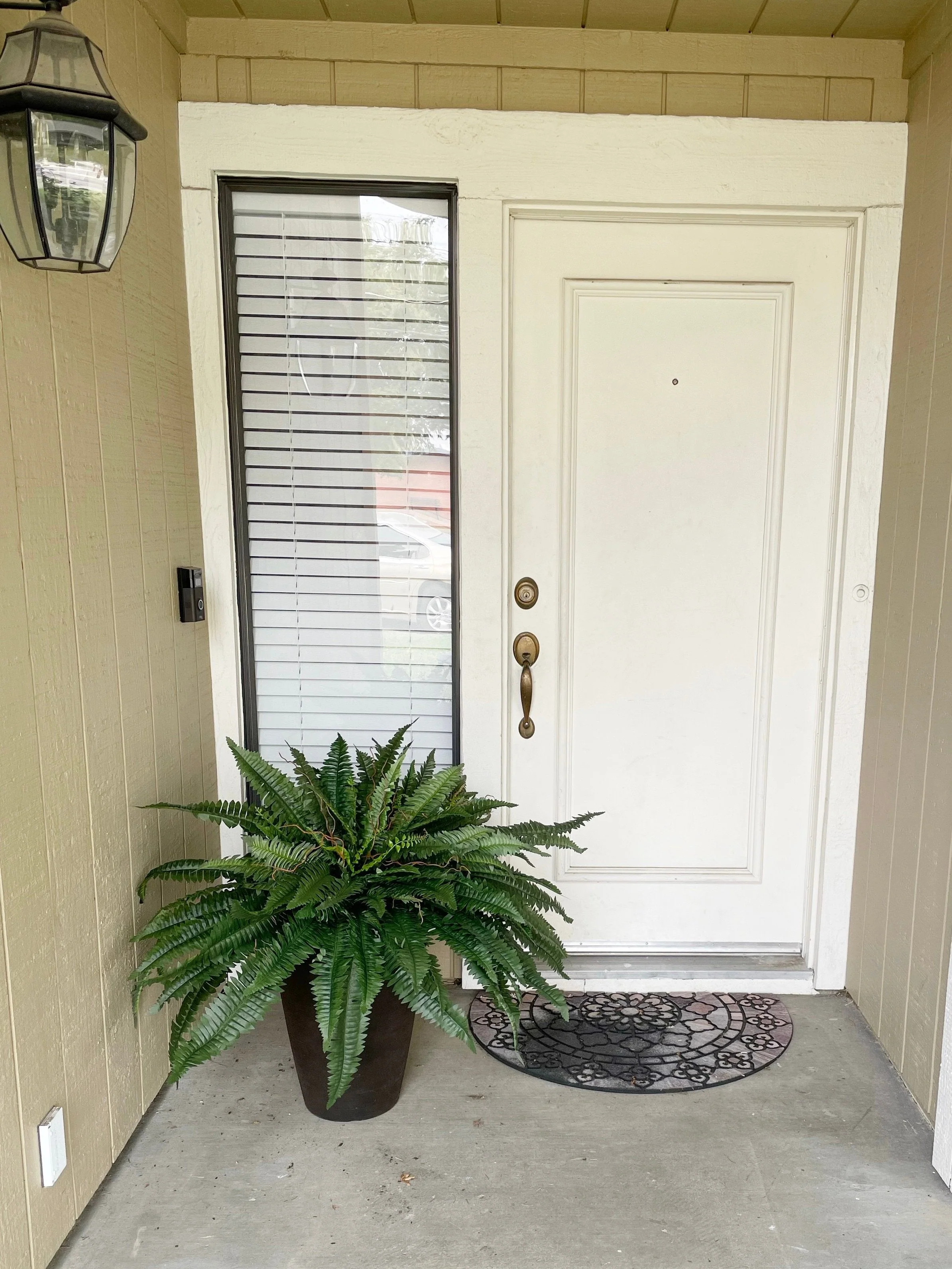Last Day 75% OFF | UV Resistant Lifelike Artificial Boston Fern - Image 5