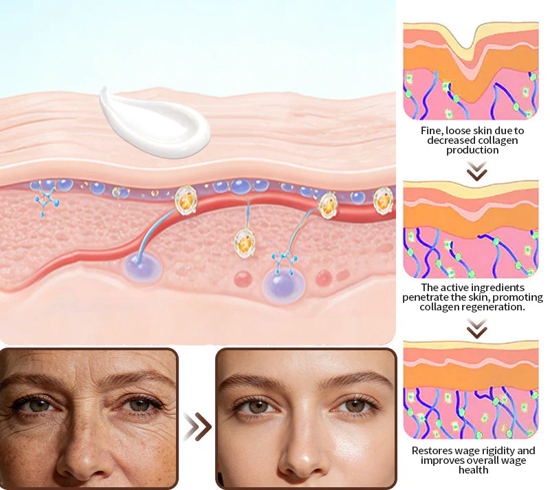 ☘️Purelora® Stem Cell Extract EGF and Copper Peptide Revitalizing Essence Cream (deeply activates the skin's internal regeneration, making the skin firmer and smoother) - Image 14